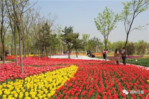 最全赏花地图速度收藏!全郑州最好看的花