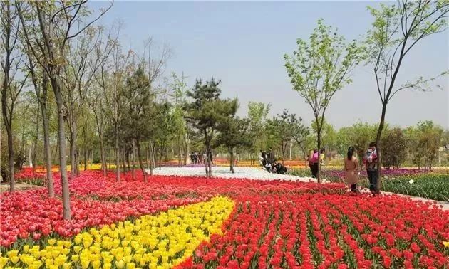 最全赏花地图速度收藏!全郑州最好看的花