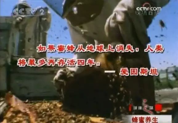 央视(CCTV-2)对蜂蜜最全的一次介绍值得收藏