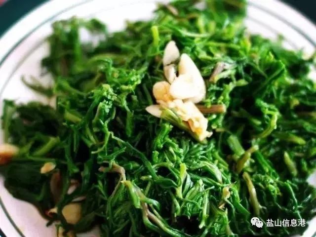 2018年黄骅最全野菜名单,让你一口吃出春天的